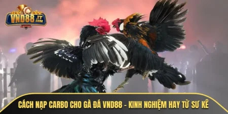 cach nap carbo cho ga da vnd88